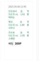 축구 적쯍