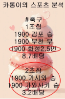 축구적중