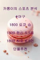 저녁 일야분석