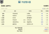 외국야구 초보픽